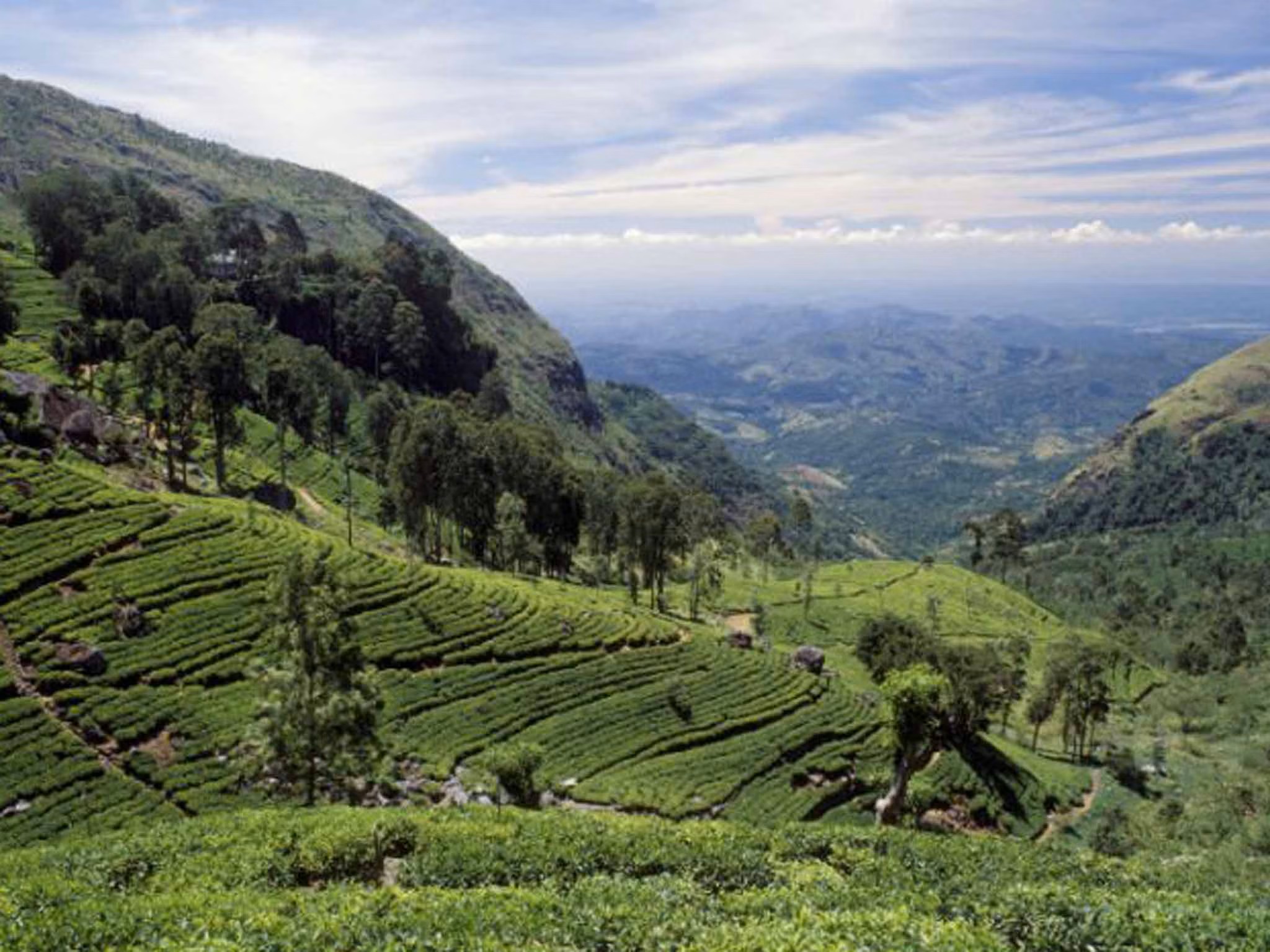 Tour Crystal Sri Lanka (with Pasikudah) - 11 days/10 nights private tour with Italian speaking guide — 15